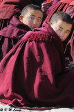 Labrang Monastery DSC_1122