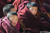 Labrang Monastery DSC_1083