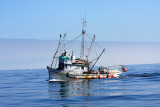 Fishing Boat Catalina.jpg
