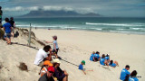 Blouberg Beach 1 Ton Cleanup