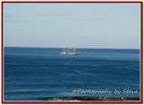 DSC_5365Ac.jpg
