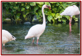 DSC_5426A.jpg