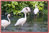 DSC_5427A.jpg