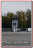 DSC_6791A.jpg