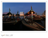 Duba - UAE - 66