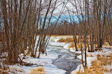 Winter Brook 20110218