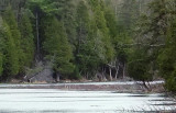 Bolton Creek (F550 JPEG crop) DSCF01520