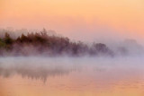 Misty Dawn 11856