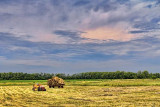 Working A Hay Field 20110710