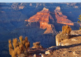 Grand Canyon 30204