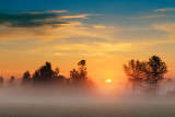 Misty Sunrise 20110822