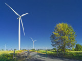 Wolfe Island Wind Project DSCF02439,44