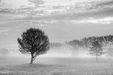 Dawn Mist 20110922