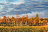 Autumn Landscape 20110923