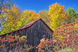 Autumn Barn 17665