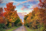Autumn Back Road At Sunrise 16995