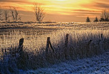 Frosty Sunrise 20111219