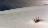 White Sands 32280