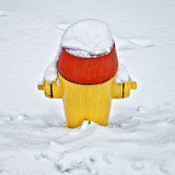 Snow-Capped Hydrant 20120118