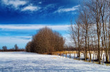 Snowscape 20120125