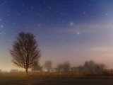 Starry Night 22219-22