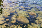 Clear Water 23241