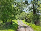 Country Lane 00672