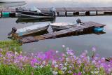 Boats & Flowers 24222-5