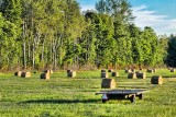 Field Of Bales 20120720