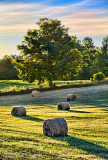 Bales At Sunrise 20120725