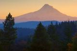 Mount Hood at Sunset 20051108