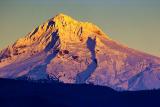 Mount Hood at Sundown