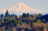 Mount Hood1