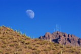 Moon Over Tucson Mountains 77581