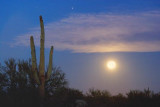 Desert Moonset 78173