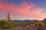 Desert Sunrise 78196
