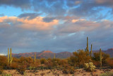 Desert At Sunrise 20071227