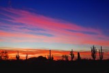 Desert Sunset 78452