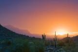 Desert Sunrise 20080102