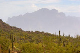 Superstition Mountain 78884