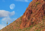 Mountain Saguaro & Moon 81003