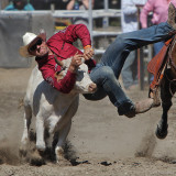 Steer Wrestling 1