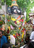 Elephant-faced titan Gajamukha. 1st manifestation of Surapadman. Skanda Sashti at Tiruchendur.