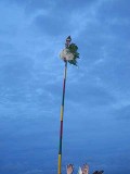 The cock, the Lord`s banner-symbol, is fixed on Lord Subramanyam`s [Murugan`s] spear. Skanda Sashti at Tiruchendur.