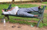 Catnap in the Botanical Garden in Bangalore, India.