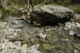 Bottoming out at the Middle Fork Coyote Creek