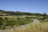 Crossing Mt. Hamilton Rd