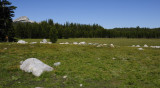 Aug 5 - Tuolumne Meadows