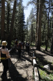 Starting our hike to Mono Pass