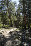 On the Mono Pass Trail